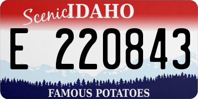 ID license plate E220843