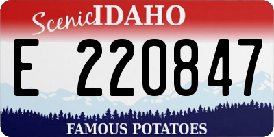 ID license plate E220847