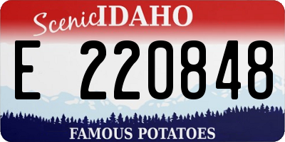 ID license plate E220848