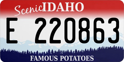 ID license plate E220863