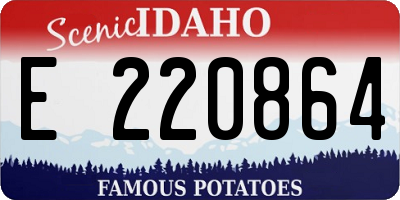ID license plate E220864