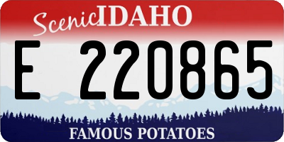 ID license plate E220865