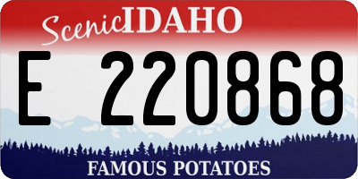 ID license plate E220868