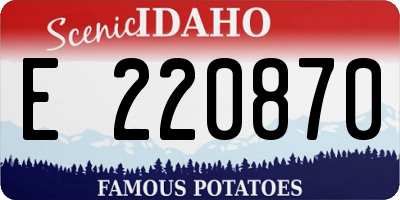 ID license plate E220870