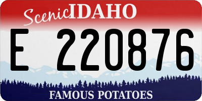 ID license plate E220876
