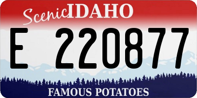ID license plate E220877
