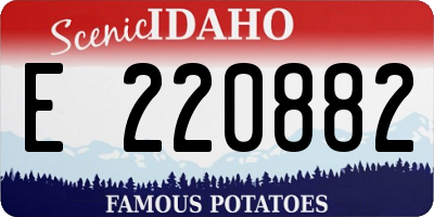 ID license plate E220882