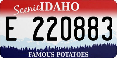 ID license plate E220883