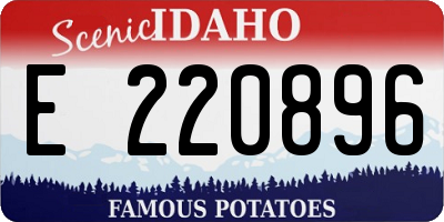 ID license plate E220896