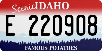 ID license plate E220908
