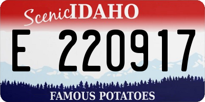 ID license plate E220917