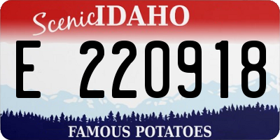 ID license plate E220918