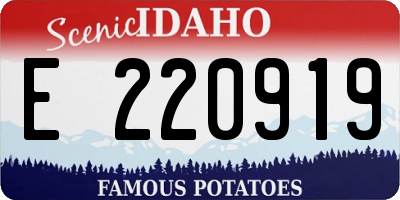 ID license plate E220919
