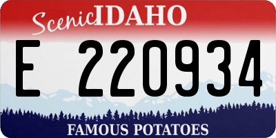 ID license plate E220934