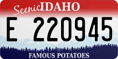 ID license plate E220945