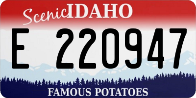 ID license plate E220947