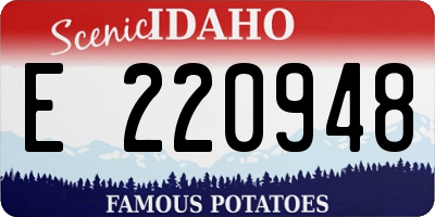 ID license plate E220948