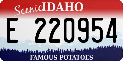ID license plate E220954