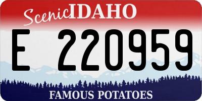 ID license plate E220959