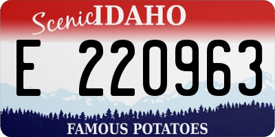 ID license plate E220963