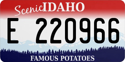 ID license plate E220966