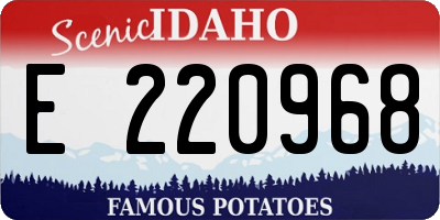 ID license plate E220968