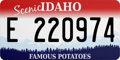 ID license plate E220974