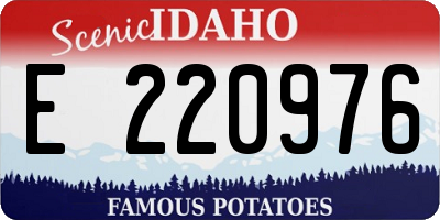 ID license plate E220976