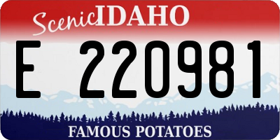 ID license plate E220981