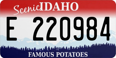 ID license plate E220984