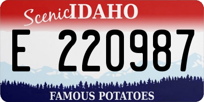 ID license plate E220987