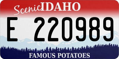 ID license plate E220989