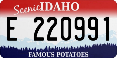 ID license plate E220991