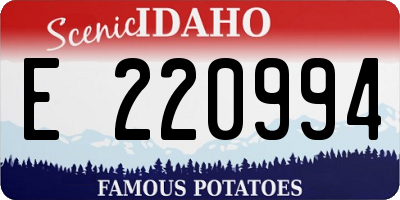 ID license plate E220994