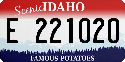 ID license plate E221020