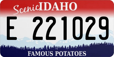 ID license plate E221029