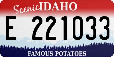 ID license plate E221033