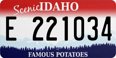 ID license plate E221034