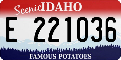 ID license plate E221036