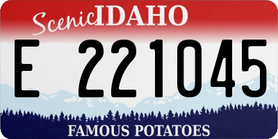 ID license plate E221045