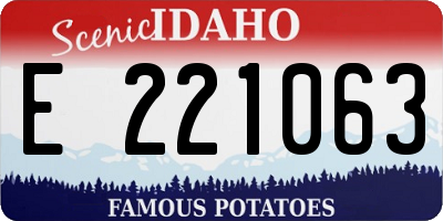 ID license plate E221063