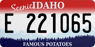 ID license plate E221065