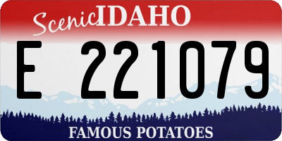 ID license plate E221079