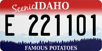 ID license plate E221101