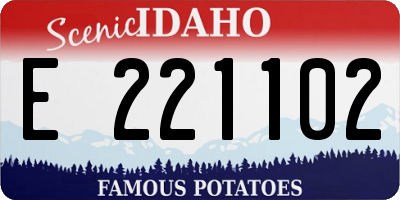 ID license plate E221102