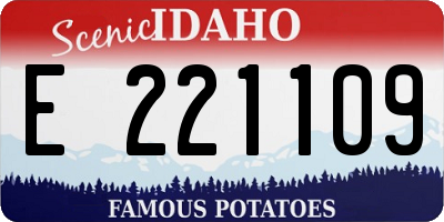 ID license plate E221109