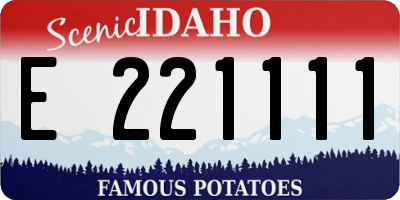 ID license plate E221111