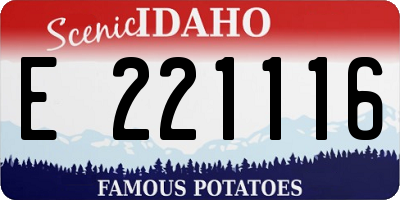 ID license plate E221116