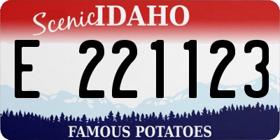 ID license plate E221123