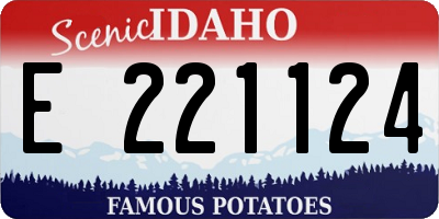 ID license plate E221124